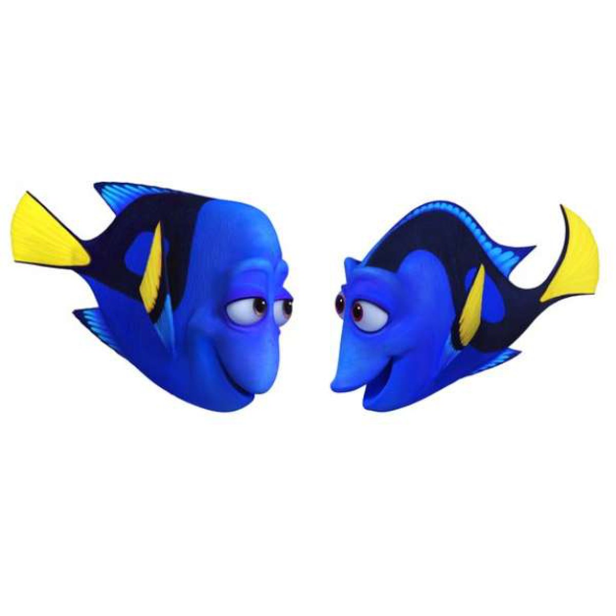 Los nuevos y achuchables personajes de Buscando a Dory | Fotogalería | Cine  y Televisión | LOS40