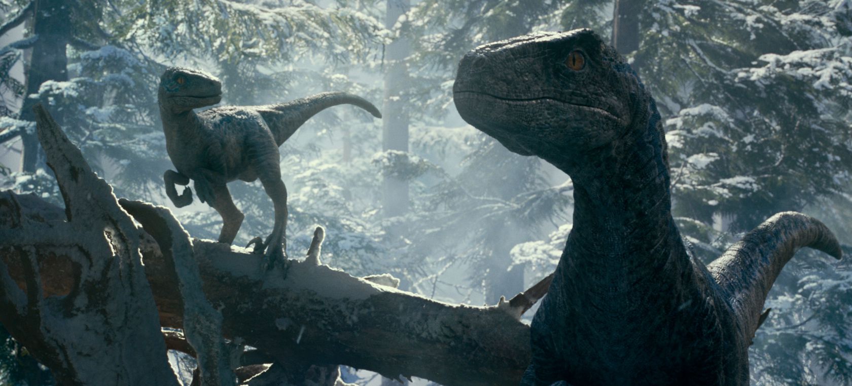 El merchandising de 'Jurassic World: Dominion' ya tiene al competidor más  adorable para Blue | Cine y Televisión | LOS40