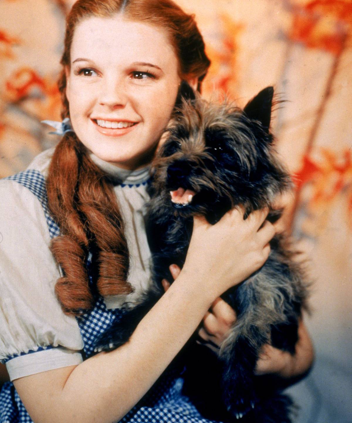Judy Garland caracterizado como Dorothy Gale en una imagen promocional de &#039;El mago de Oz&#039; (1939)