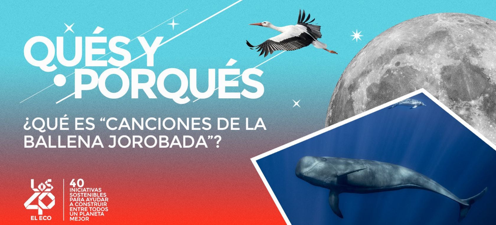 Qué es “Canciones de la ballena jorobada”? | El eco de LOS40 | LOS40