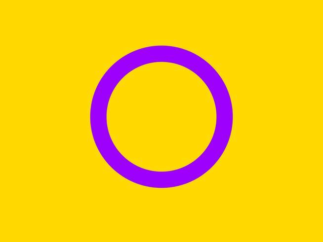 Bandera Orgullo Intersexual