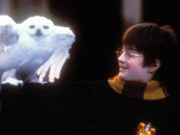 Primer adelanto de Harry Potter: regreso a Hogwarts, la reunión por el 20 aniversario