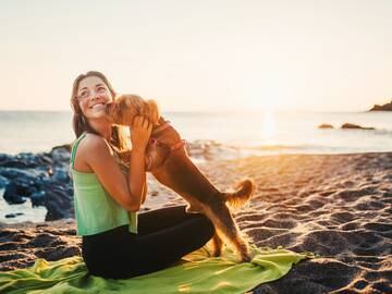 110 playas para perros en España abiertas este 2023