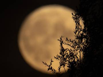 Rituales para atraer a la suerte las noches de luna llena: amor, dinero y más