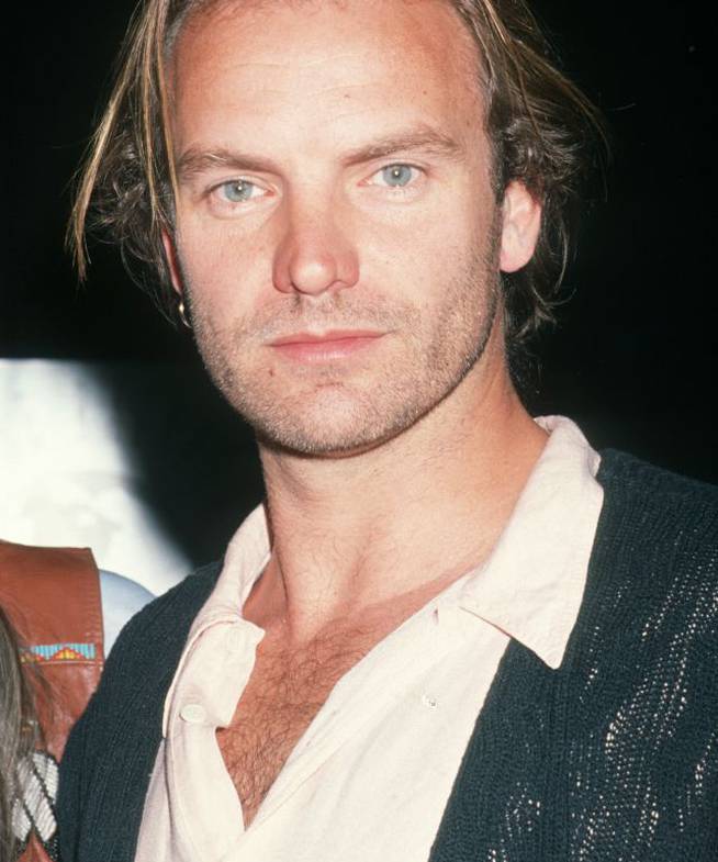 Sting, en 1990.