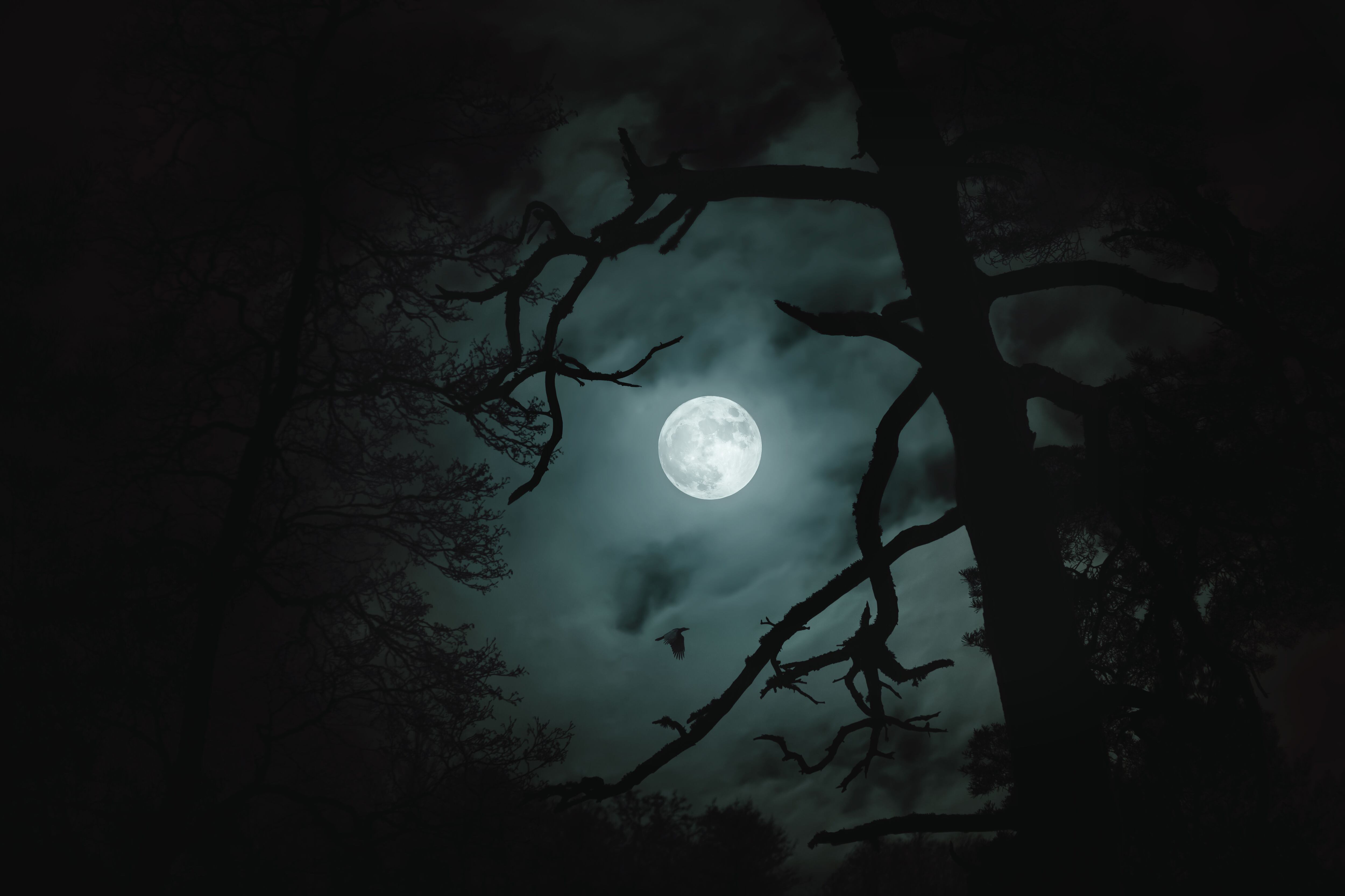 Cómo utilizar la luz de luna llena en fotografía nocturna