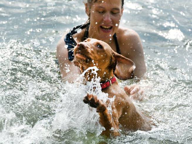 Una mujer bañándose con su perro.
