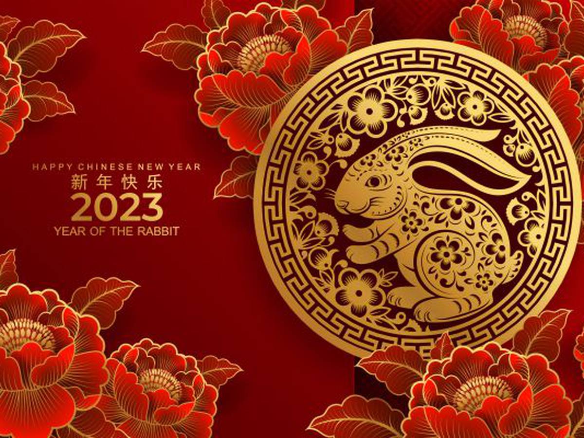 Horóscopo Chino 2023: qué animal te representa, predicciones, elementos y  signos según tu fecha de nacimiento, Año del Conejo del Agua, Tarot, MEXICO