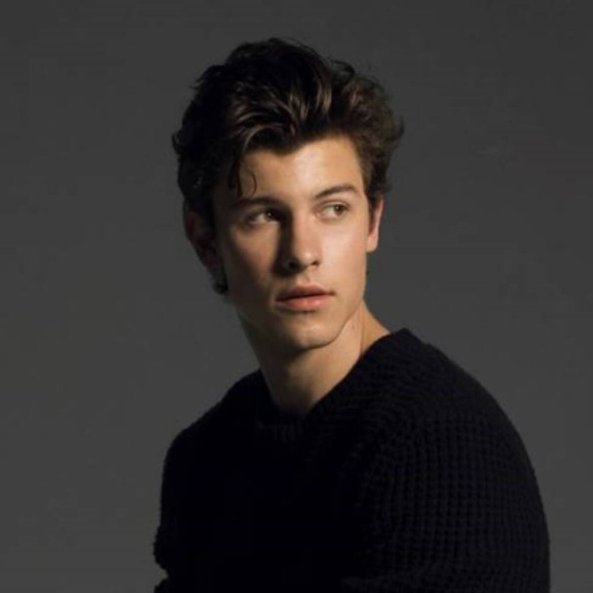 “Lost In Japan” de Shawn Mendes junto a Zedd
