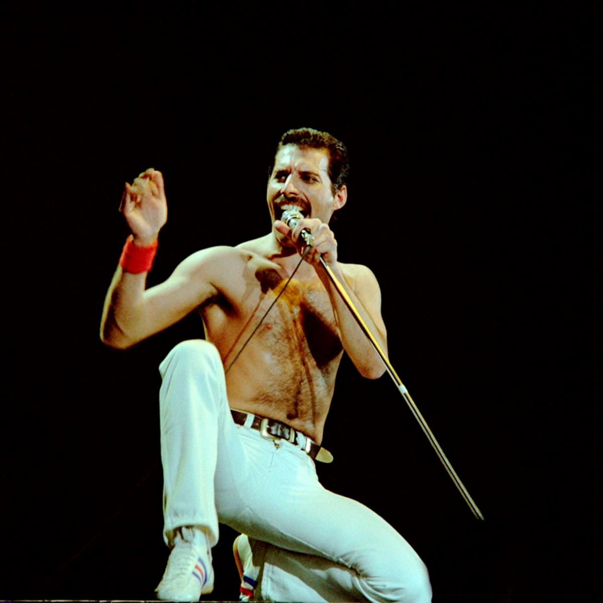 El manga que predijo la muerte de Freddie Mercury