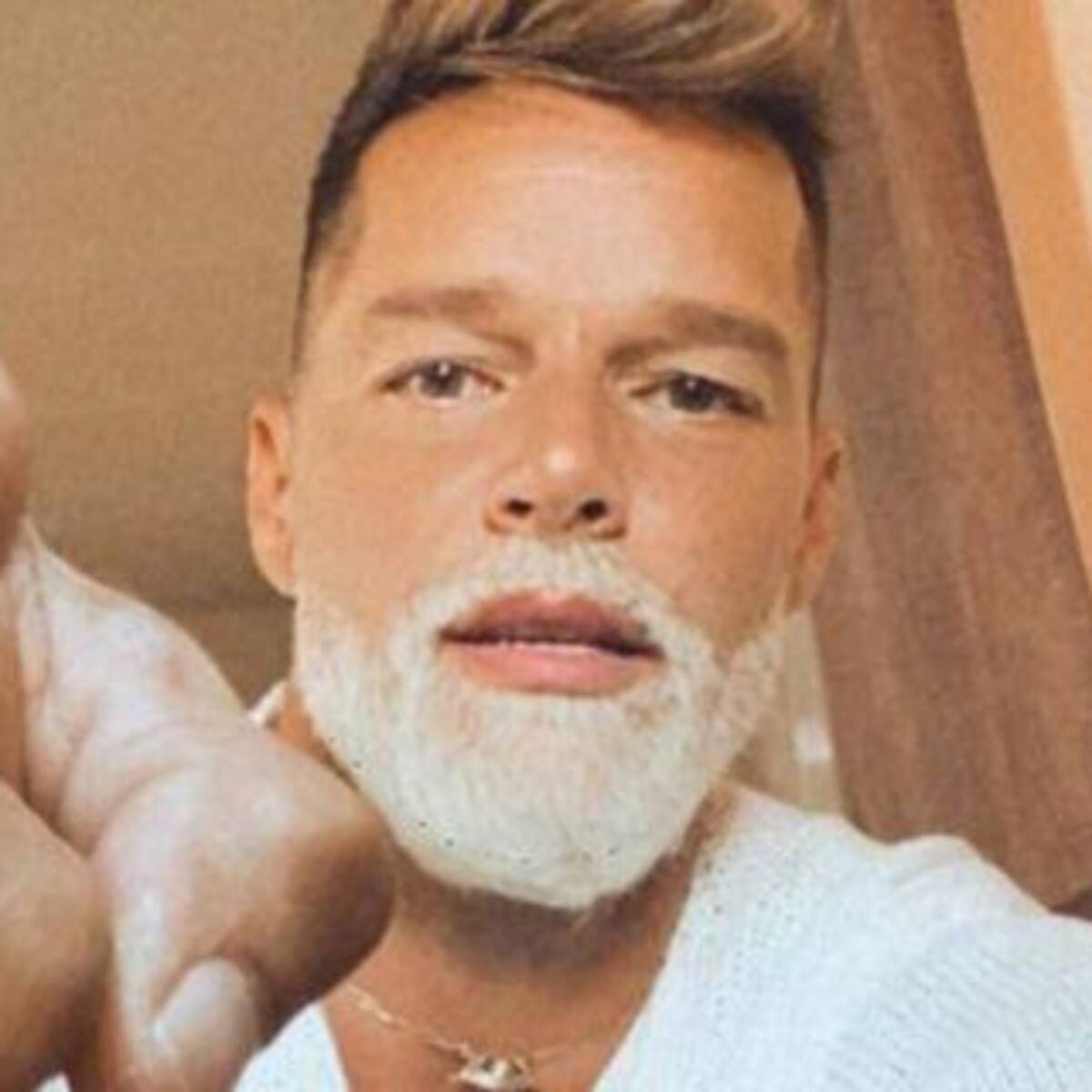 Ricky Martin revolucionó las redes sociales con una jugada producción de fotos