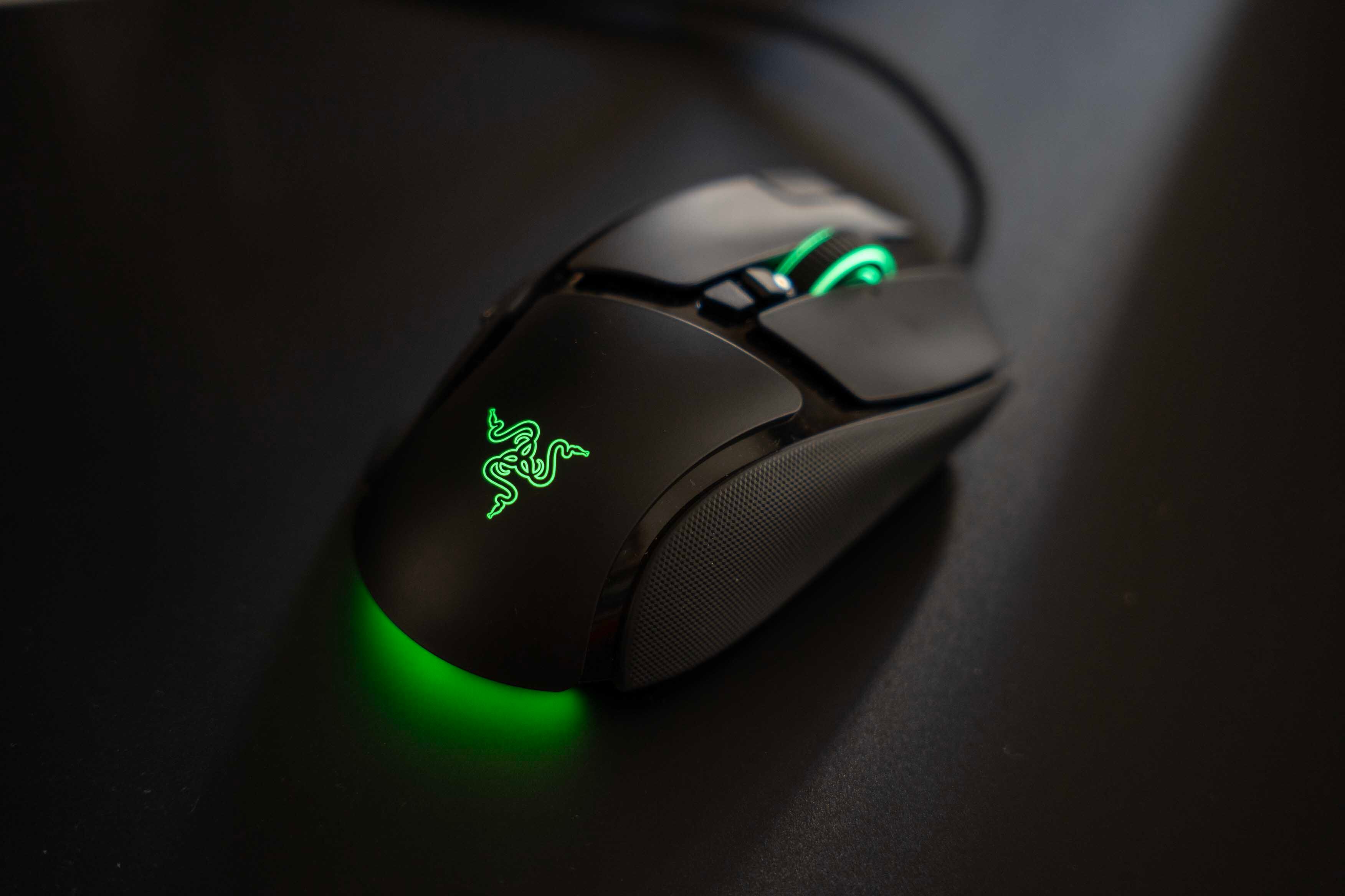 Razer Basilisk V4 Pro