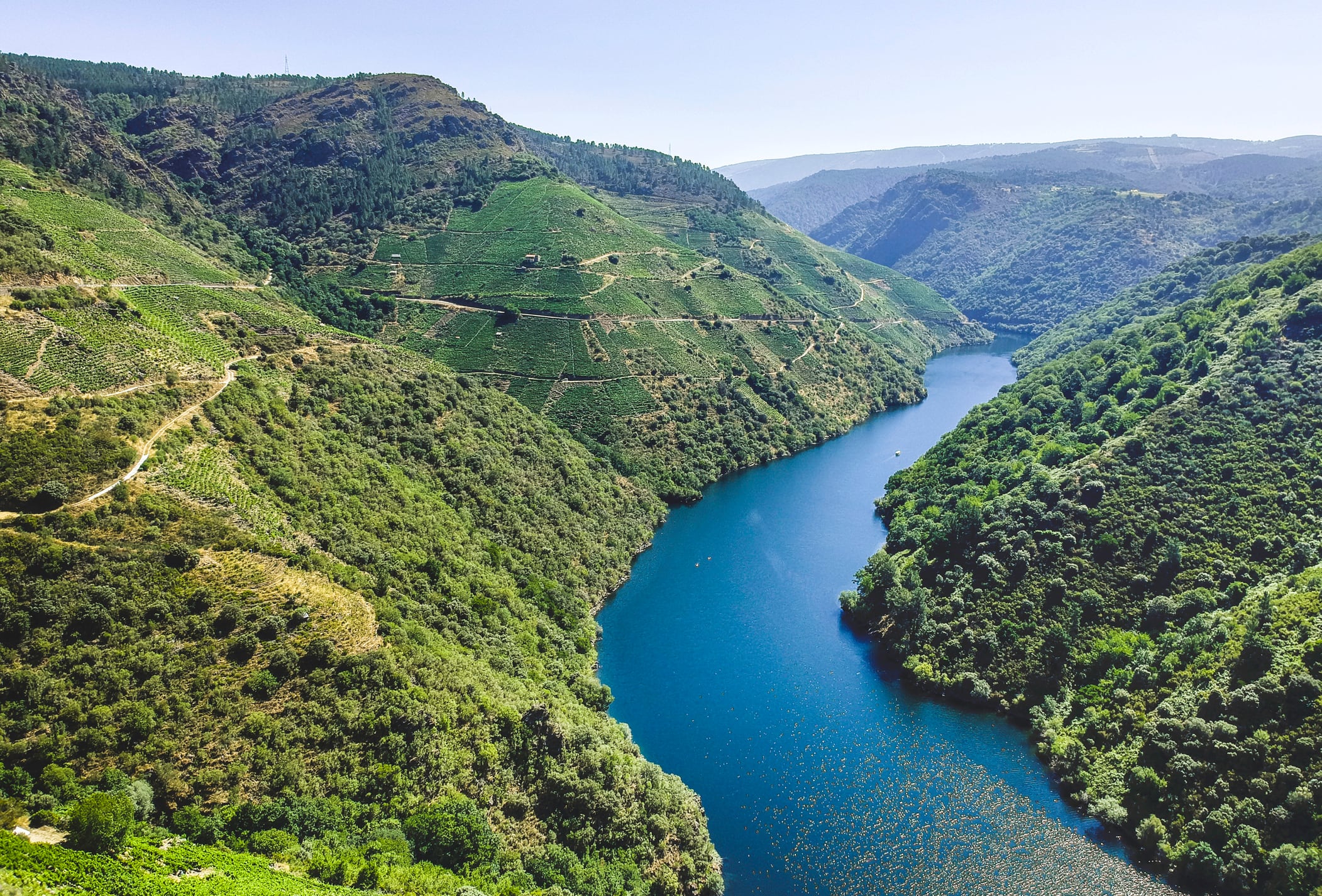Imagen de la Ribeira Sacra, en Galicia.