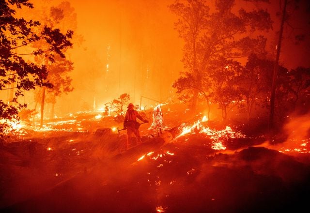 Los incendios son cada vez más virulentos. 