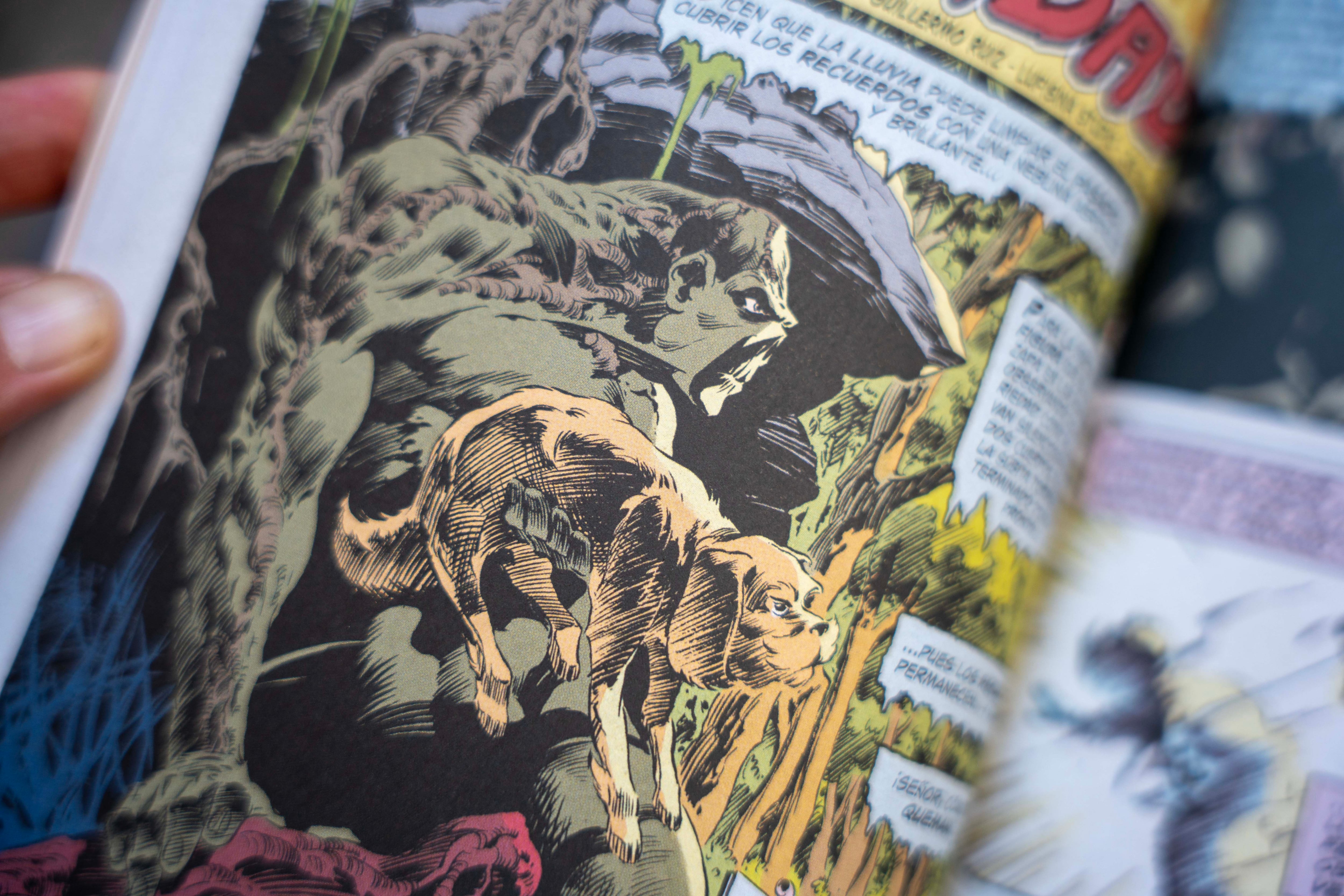 La Cosa del Pantano de Len Wein y Bernie Wrightson (La Edad de Bronce Vol. 1