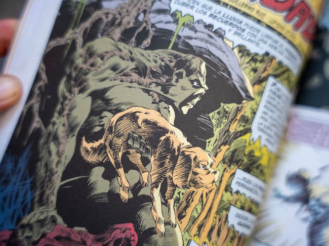 La Cosa del Pantano de Len Wein y Bernie Wrightson (La Edad de Bronce Vol. 1