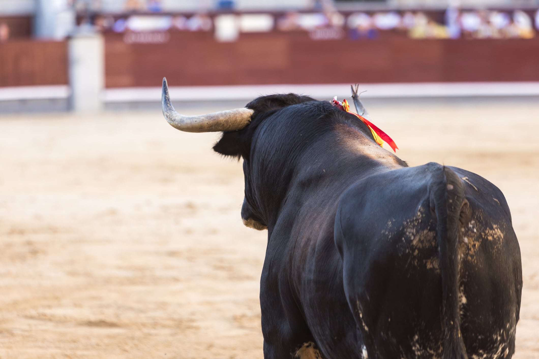 La tauromaquia sigue generando un intenso debate. 