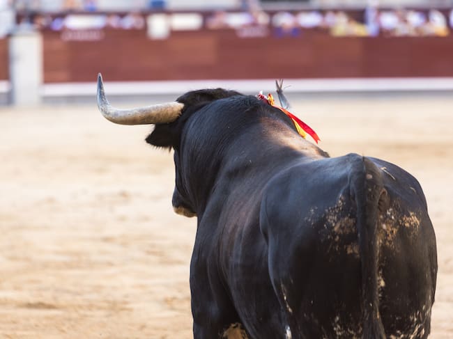 La tauromaquia sigue generando un intenso debate.