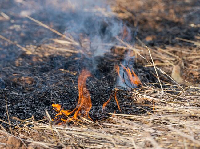 Las imprudencias están detrás de un número importante de incendios forestales.