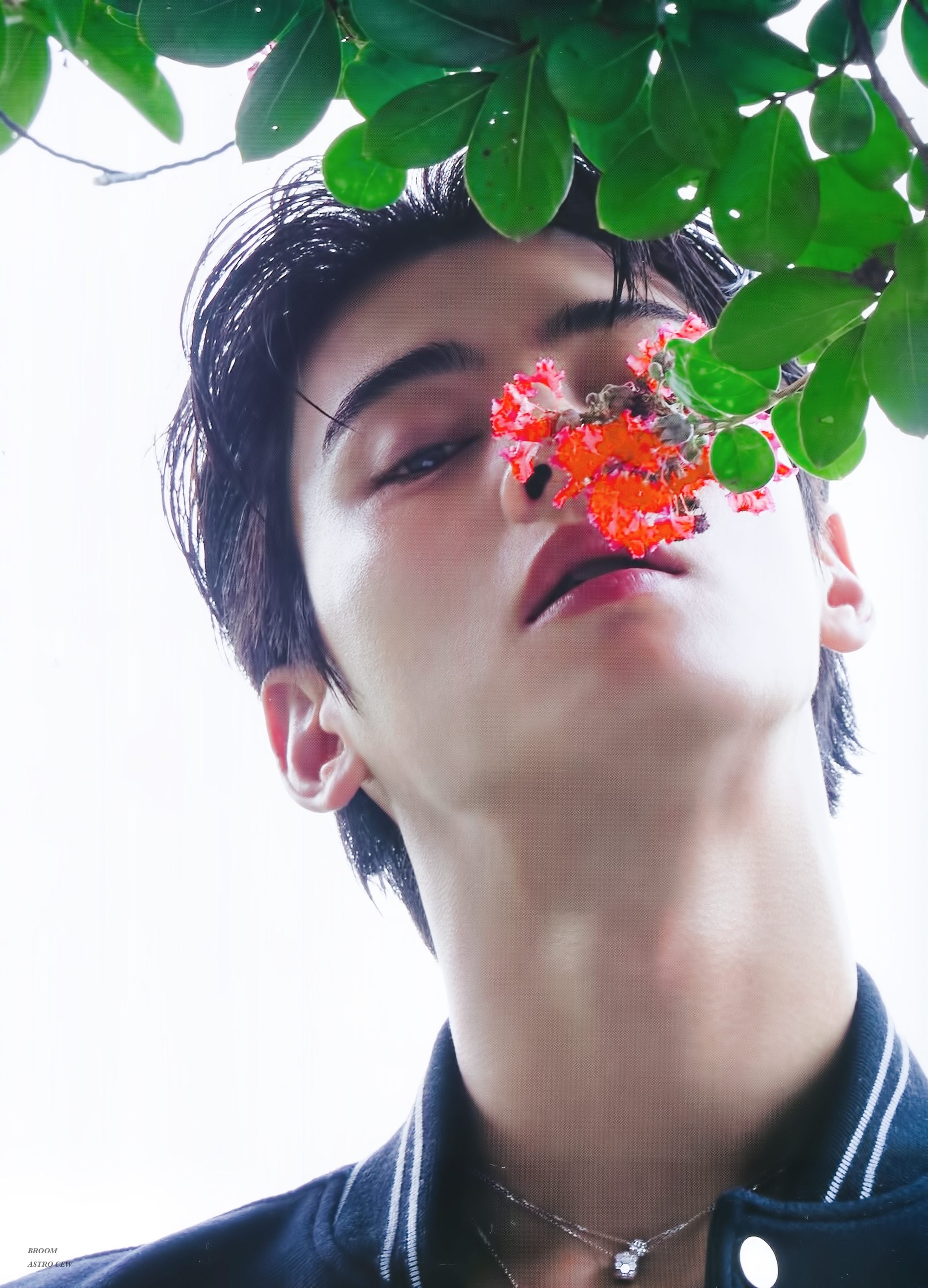 Cha Eunwoo W Korea