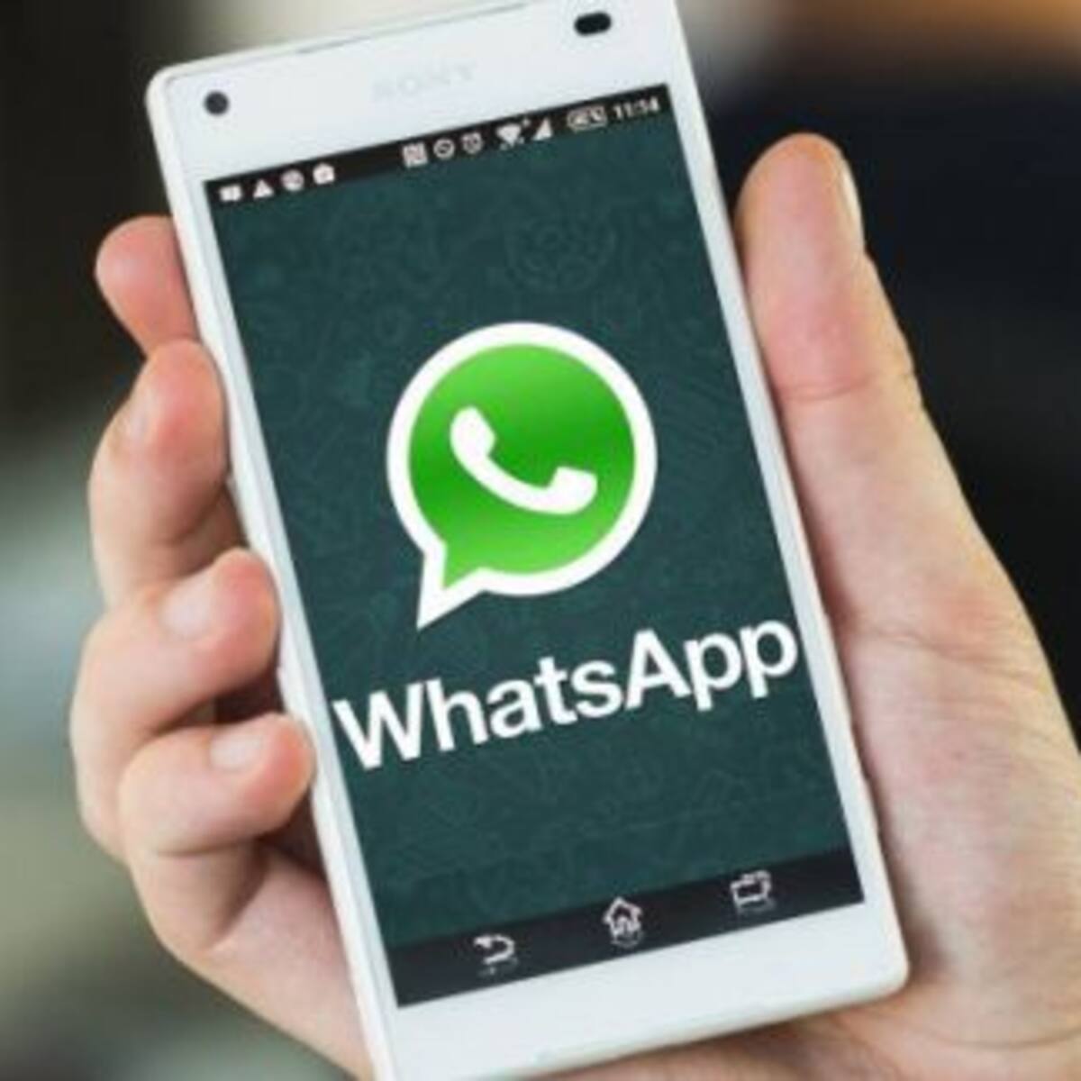Llegan nuevos cambios a los estados de WhatsApp