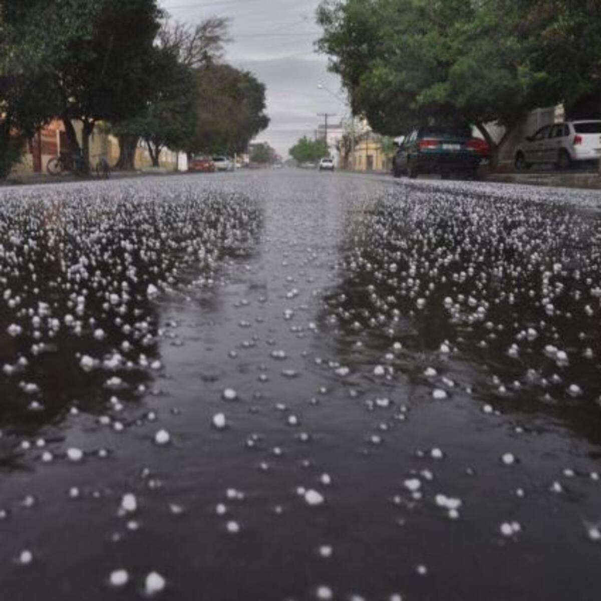 ¿Sabés de dónde viene el granizo? El Profe Renzo nos ilumina