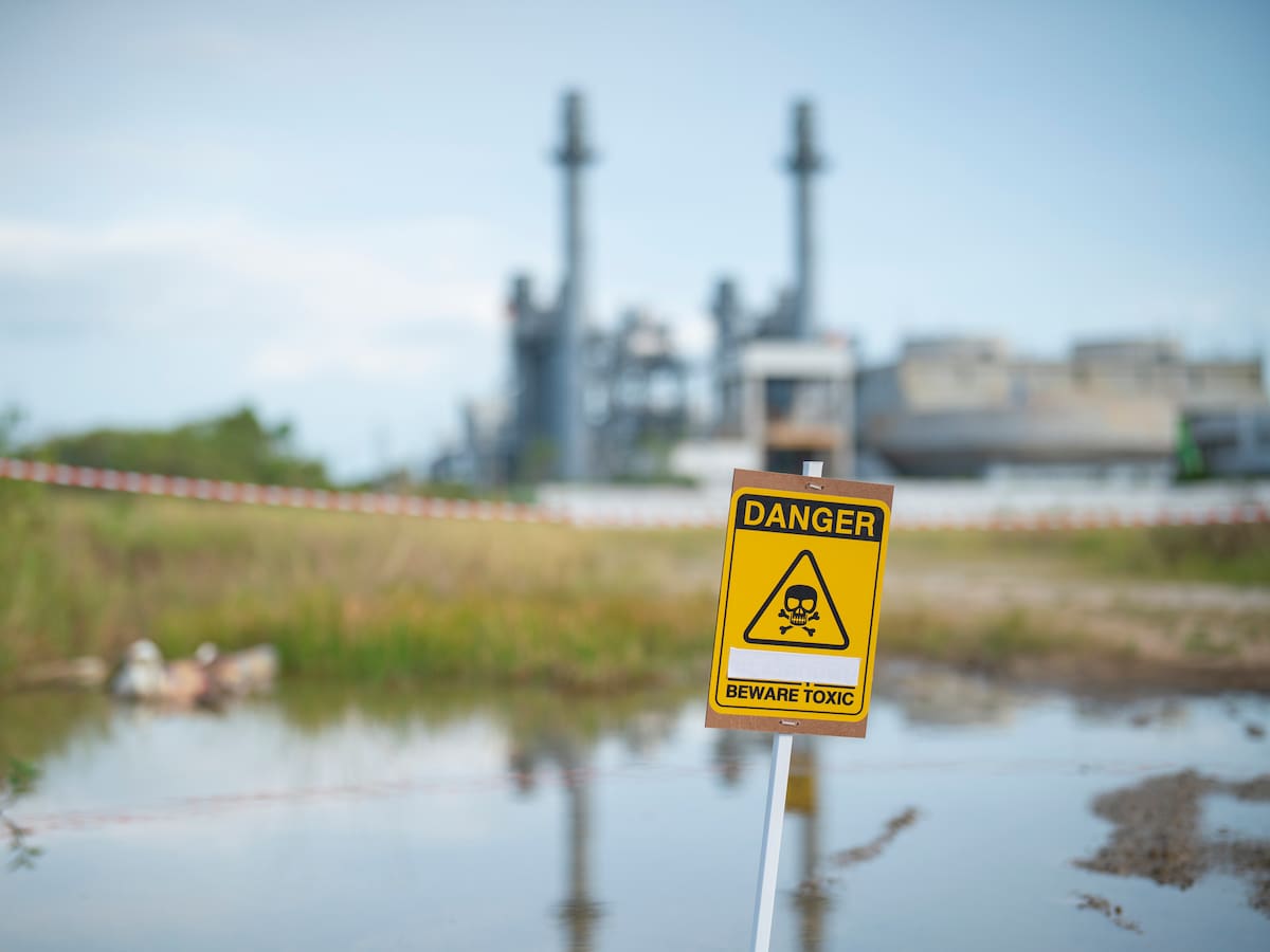 El desastre que Japón quiso olvidar: así envenenó el mercurio a todo un pueblo