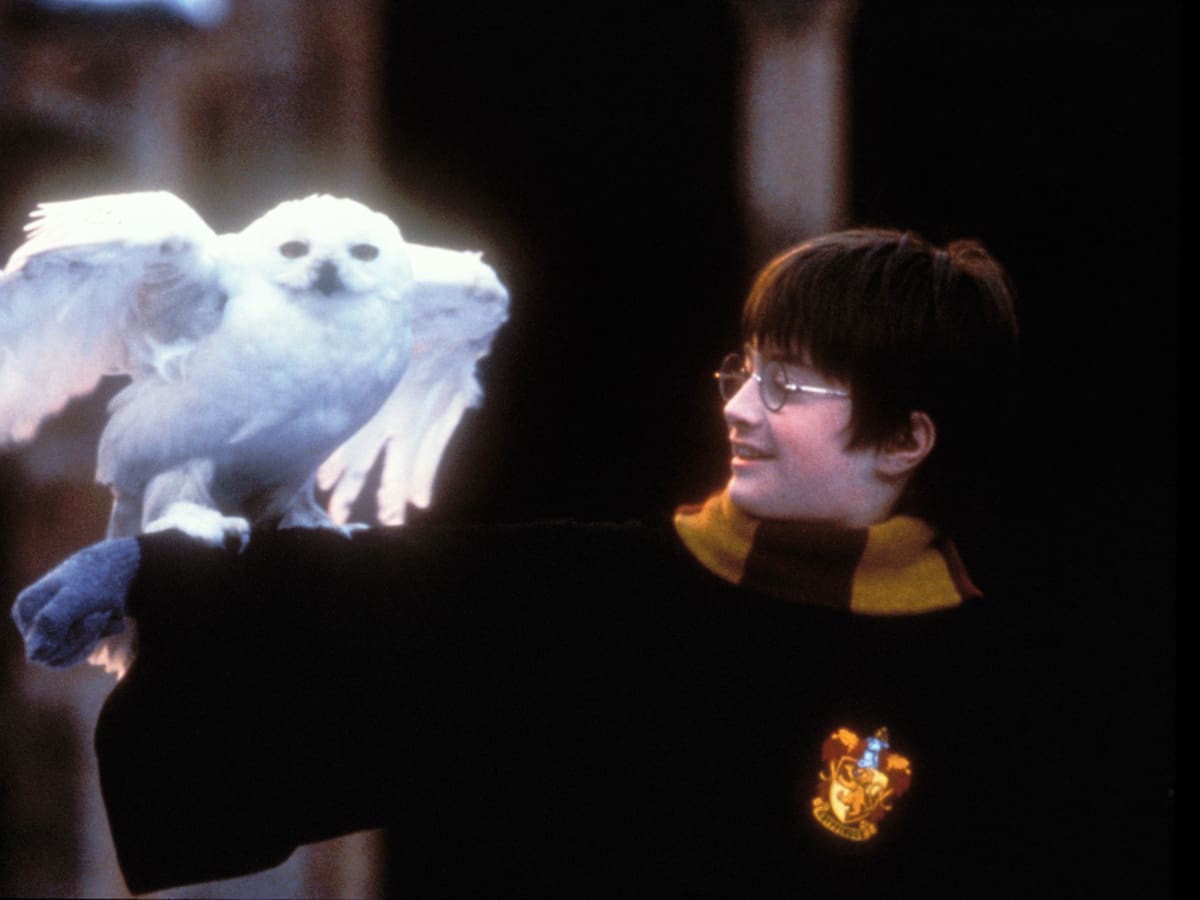 25 años llenos de magia: así celebrará 'Harry Potter y la Piedra Filosofal' su aniversario