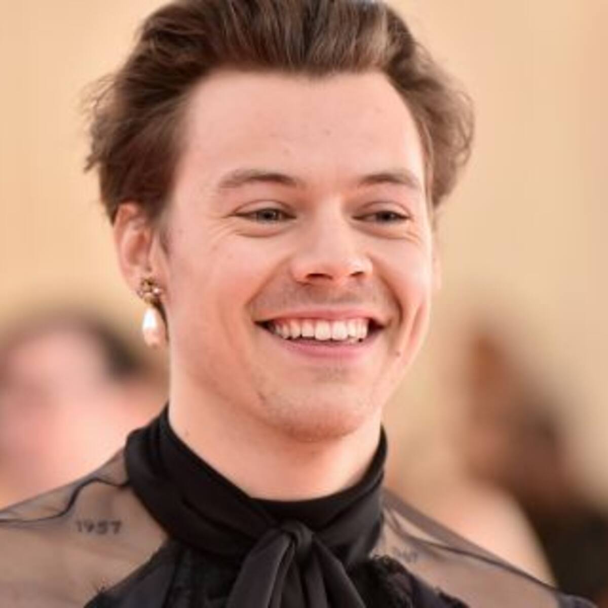 Harry Styles es el One Direction más rico del mundo