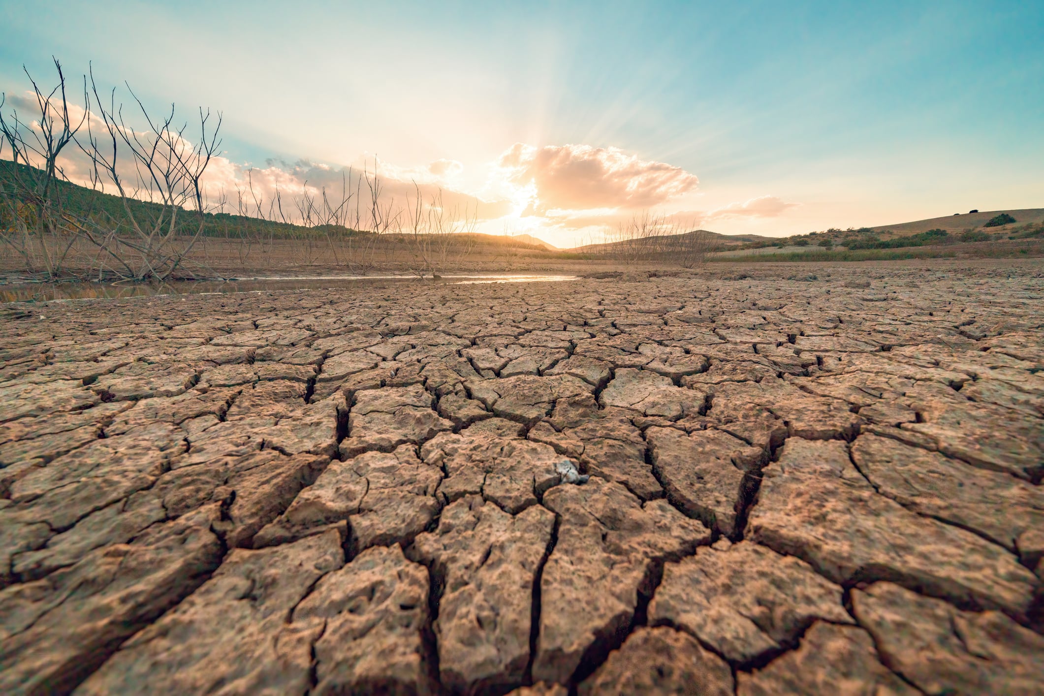 Las sequías, una de las grandes amenazas que se verán agravadas por el cambio climático.