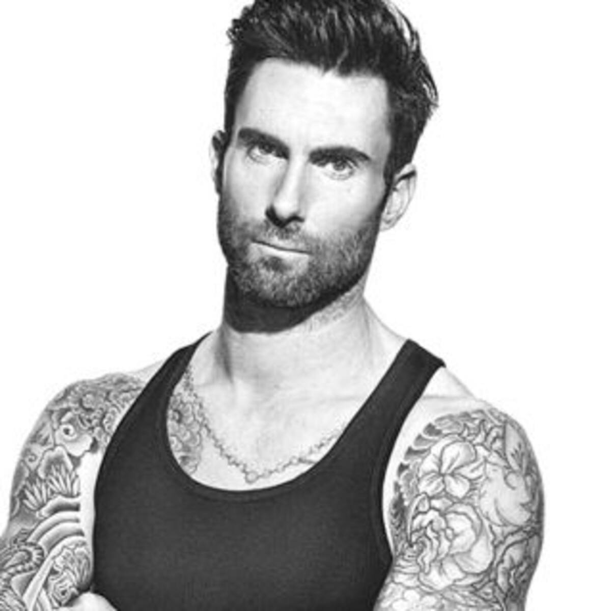 Adam Levine pidió perdón
