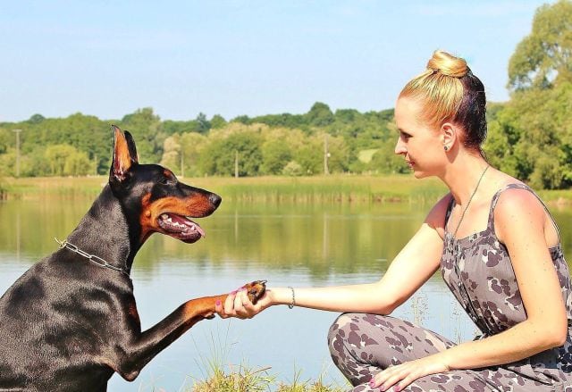 El amor que siente una persona por su perro es puro y real