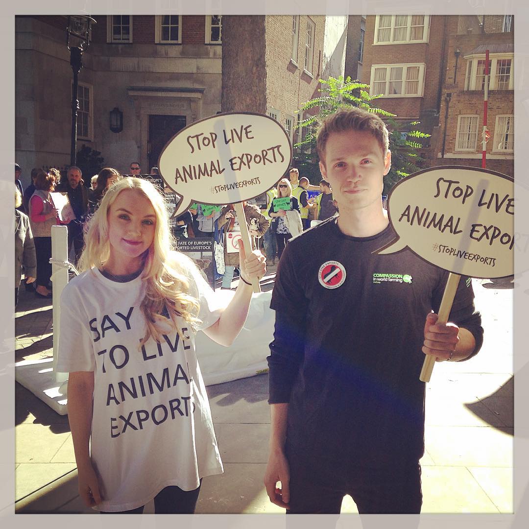 Evanna Lynch y Robbie Jarvis