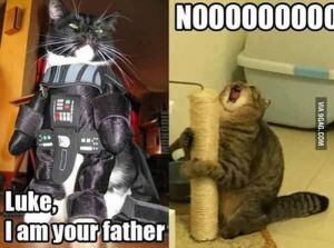 Memes del Día del Padre.