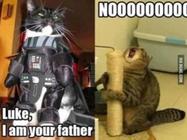 Memes del Día del Padre.