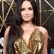 Demi Lovato, Daddy Yankee y otros artistas que dijeron (o van a decir) adiós a salir de gira