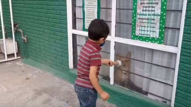 Santiago, el niño que sale a la calle a entrevistar perritos