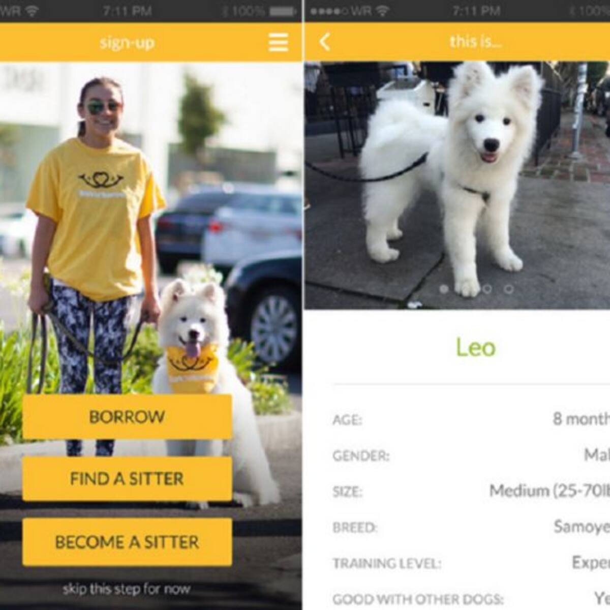 ¡Con esta nueva aplicación vas a conocer perros!