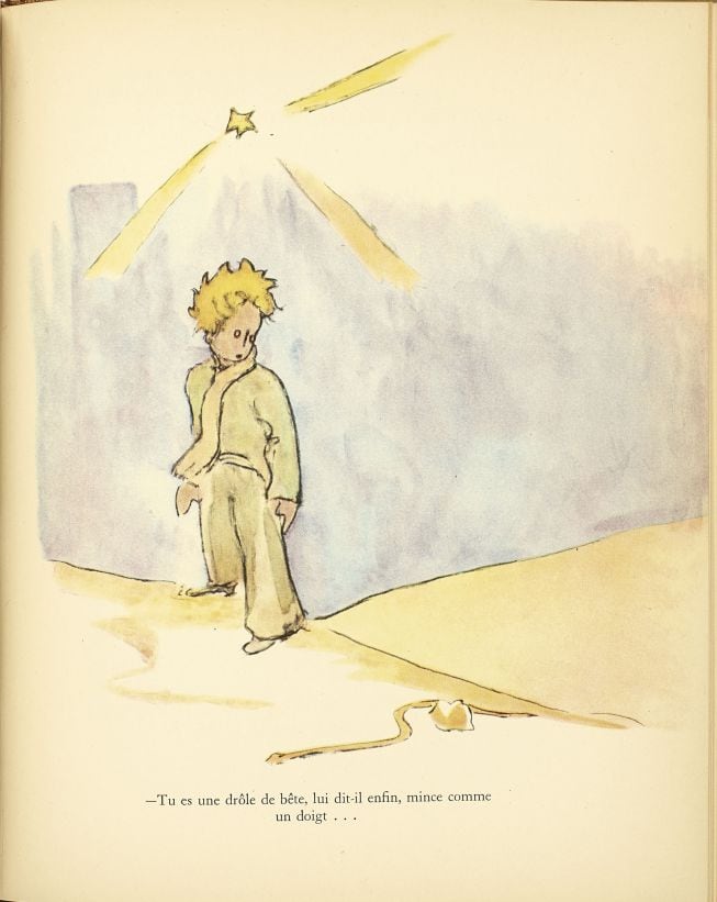 The Little Prince (Le Petit Prince).