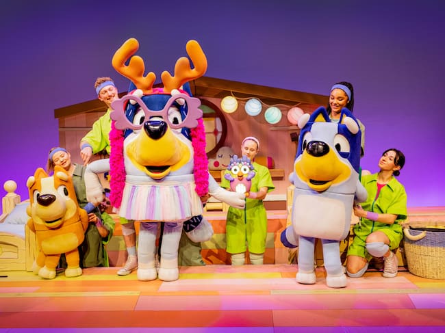 El show de Bluey, función en Irlanda.