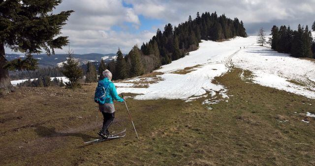 En las regiones más frías del planeta el hielo está desapareciendo