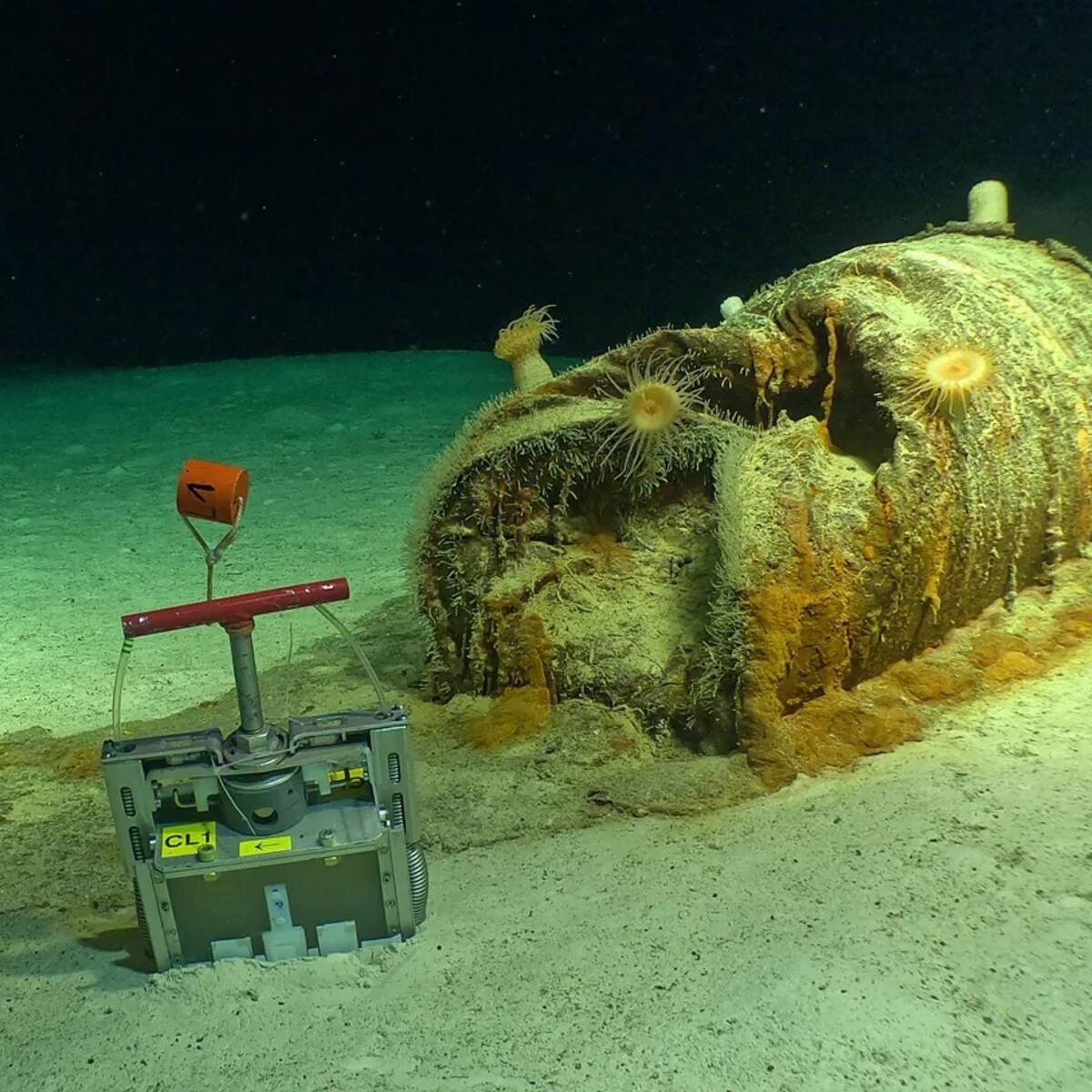 ¿Qué está pasando con los bidones radiactivos de la Fosa Atlántica?