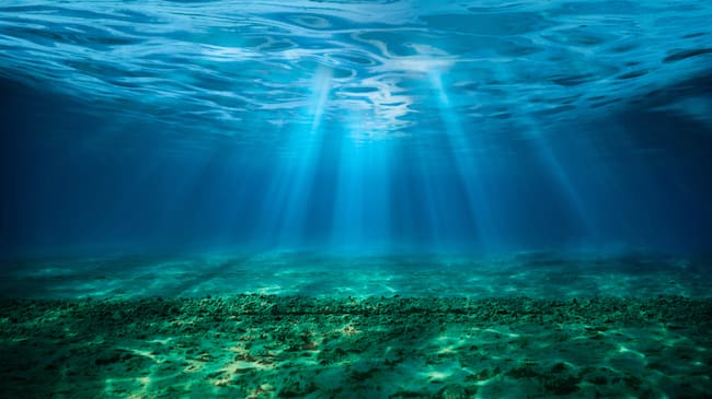 Urge cambiar nuestra manera de relacionarnos con el mar.