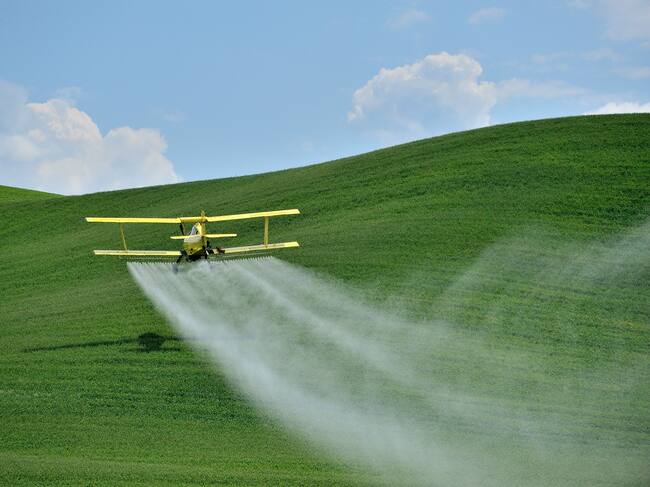 El uso de algunos herbicidas genera controversia.