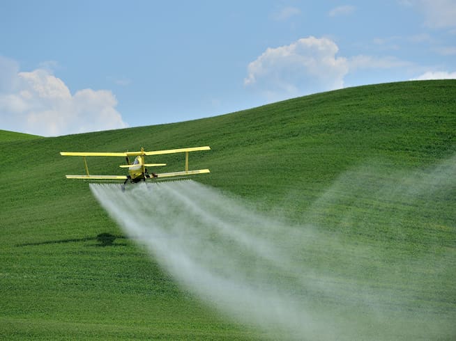 El uso de algunos herbicidas genera controversia.