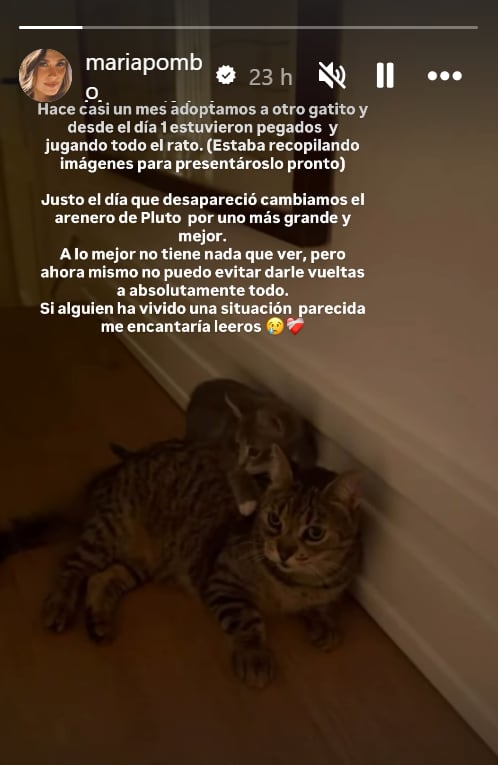 Historia de Instagram de María Pombo.