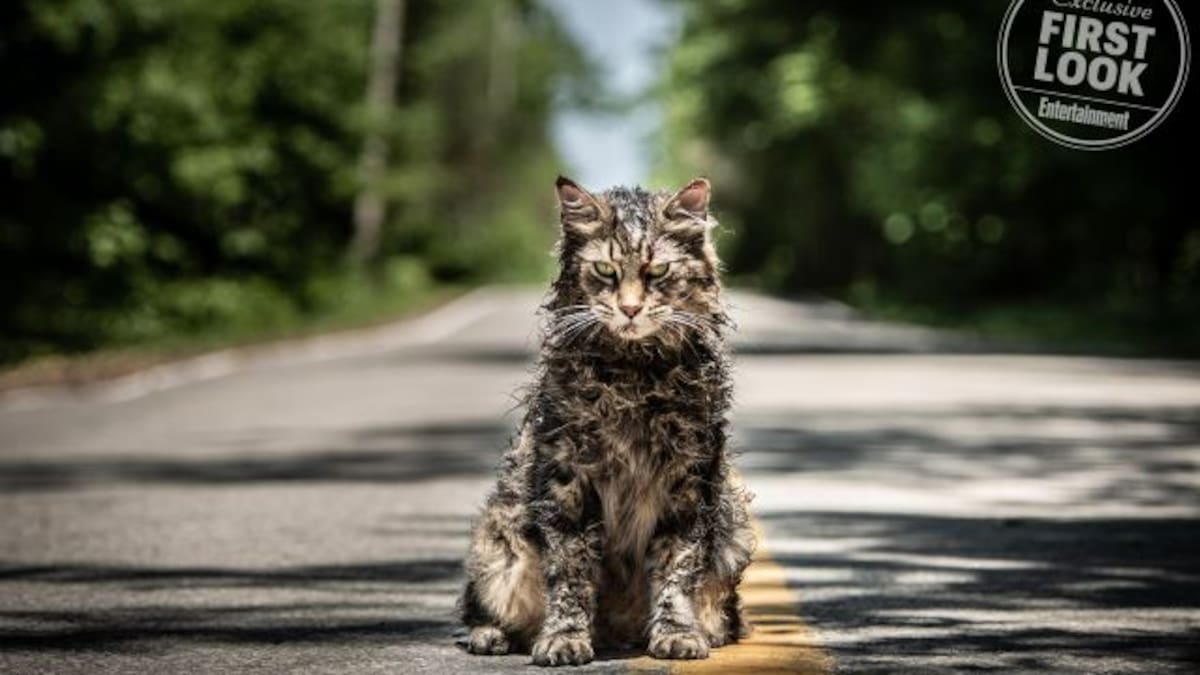 Revelaron el tráiler del remake de 'Cementerio de mascotas'
