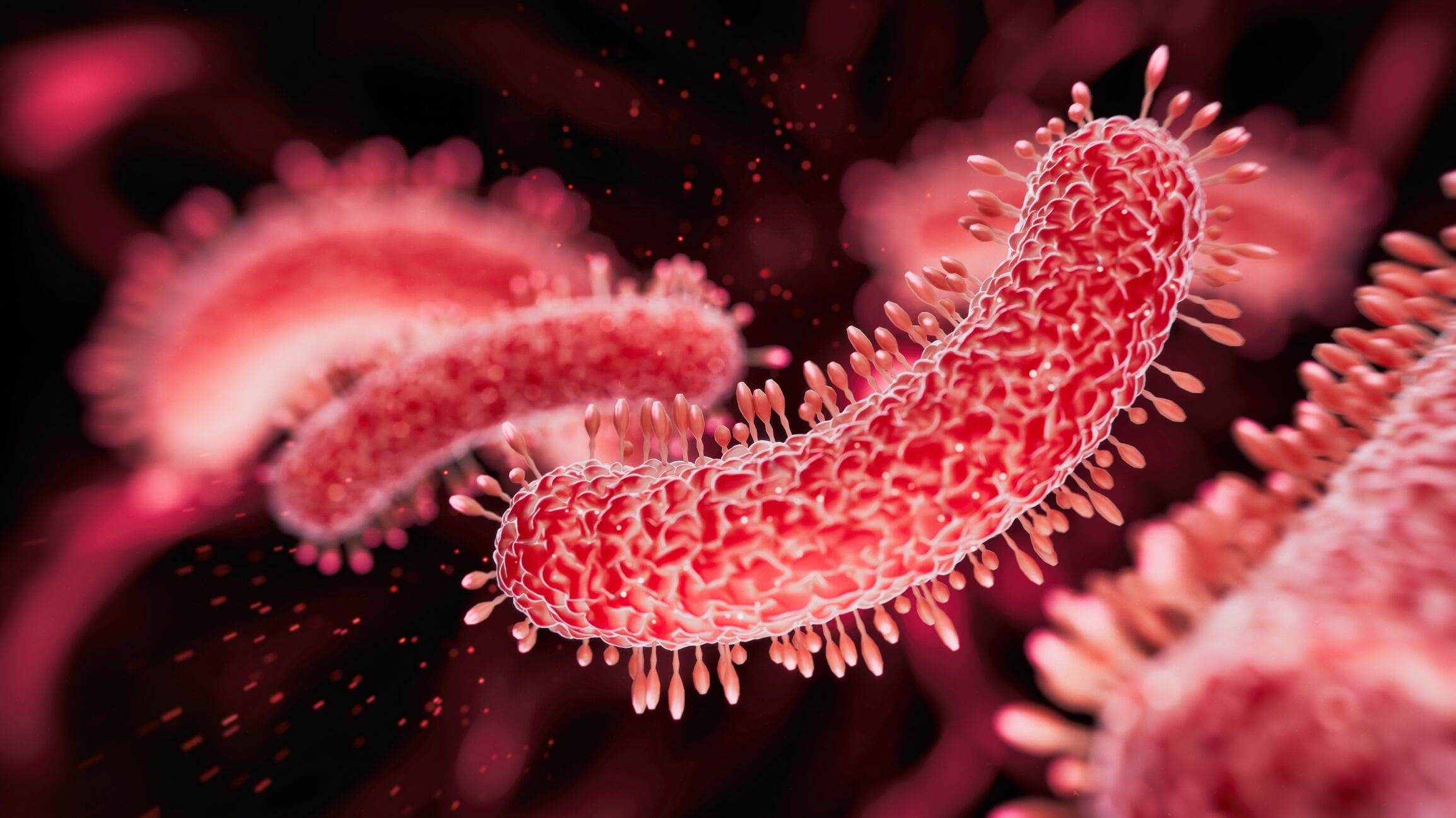 Las autoridades investigan esta infección intestinal.