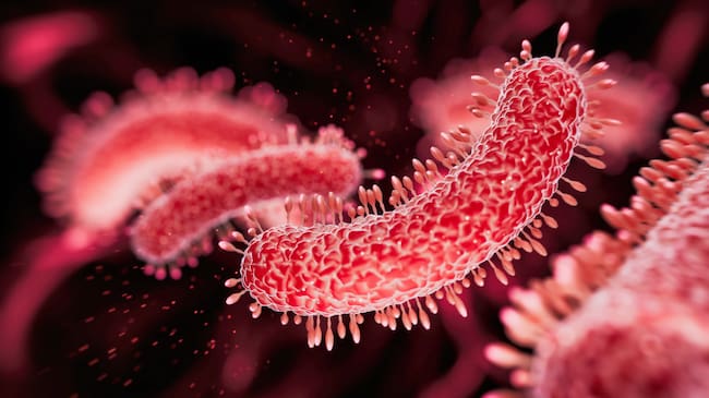 Las autoridades investigan esta infección intestinal.
