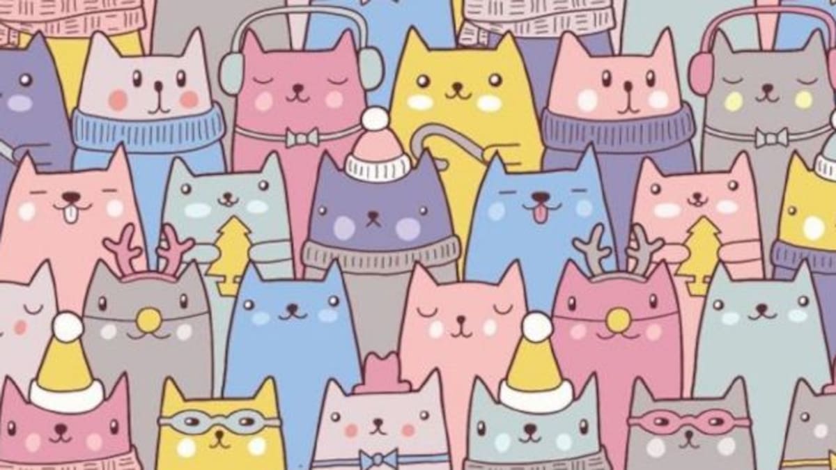 Desafío muy complicado: ¿Podrás encontrar al conejo escondido entre los gatitos?